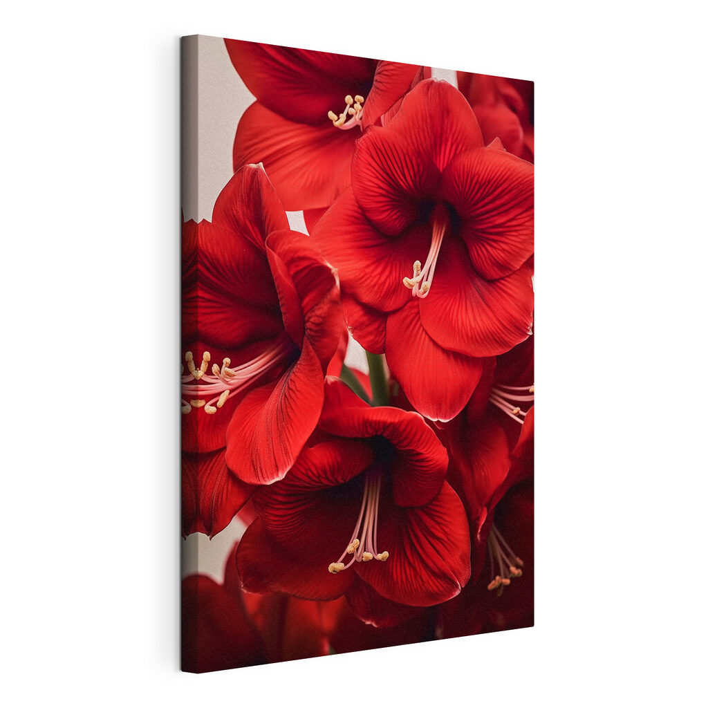 Vibrant red flowers in full bloom Vibrant red flowers in full bloom