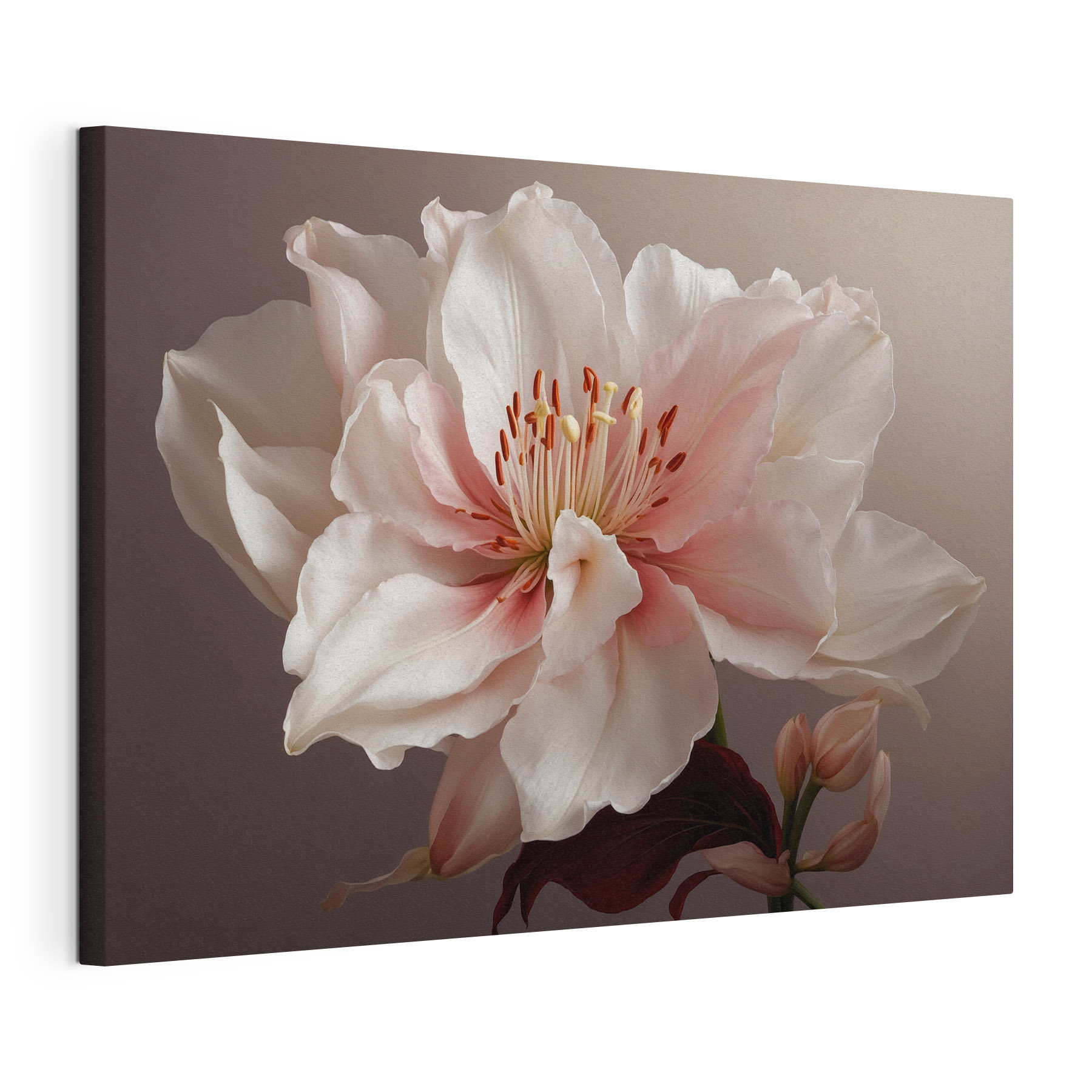 Delicate petals in soft hues Delicate petals in soft hues