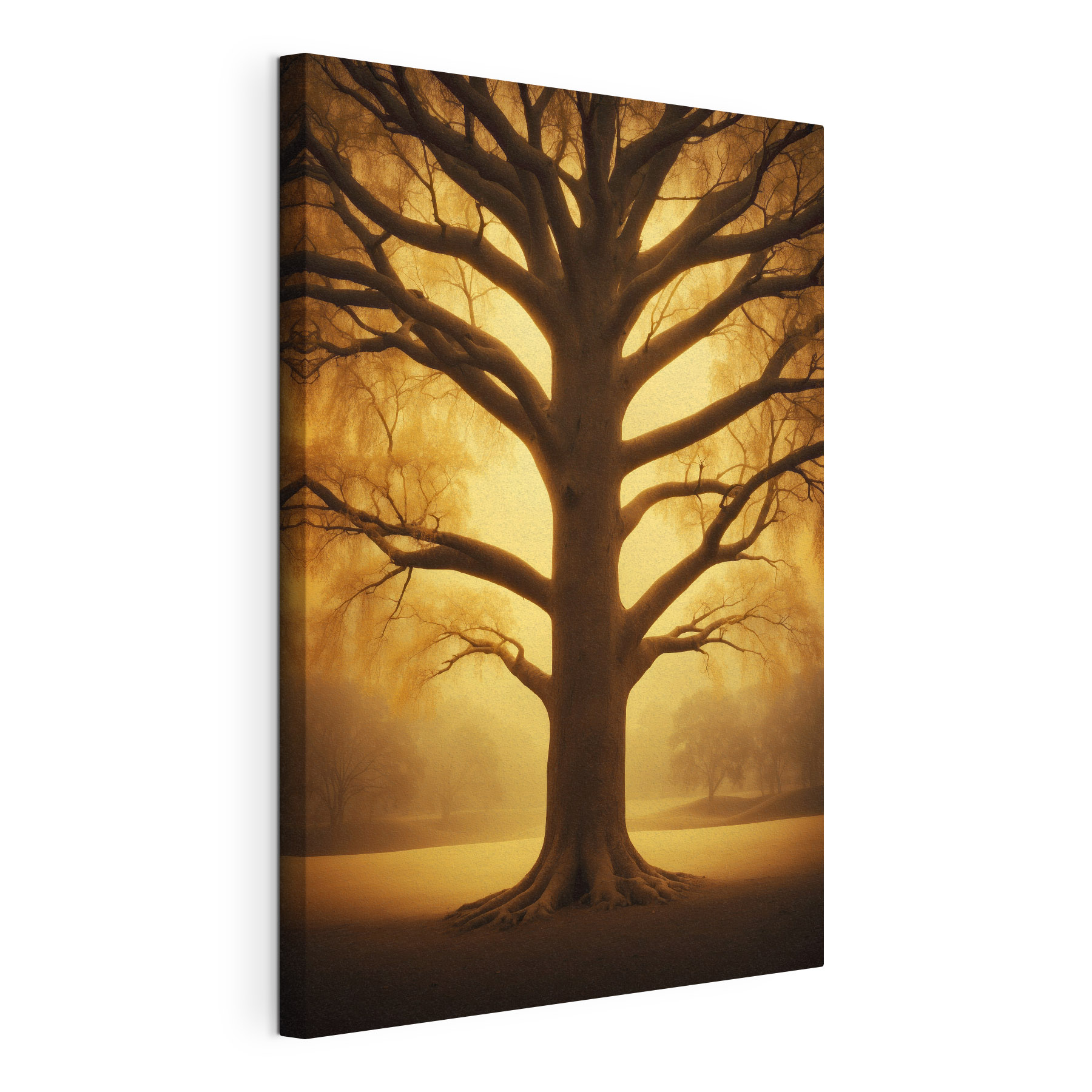 Large tree with no leaves