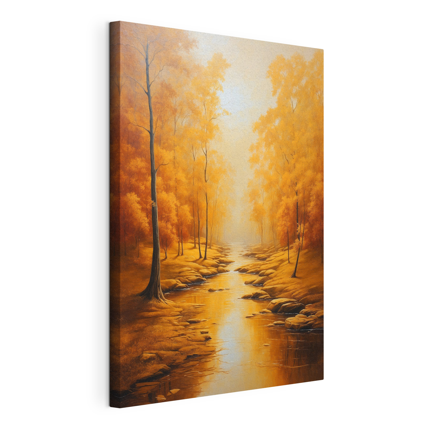 River running through a forest