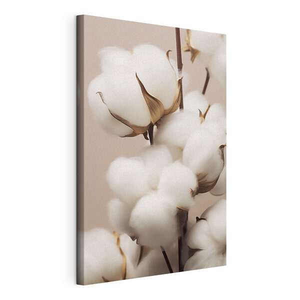 Cuadros Las suaves flores de algodón resplandecen bajo una luz tenue (SKU: s41706) Cuadros Cuadros Las suaves flores de algodón resplandecen bajo una luz tenue (SKU: s41706)