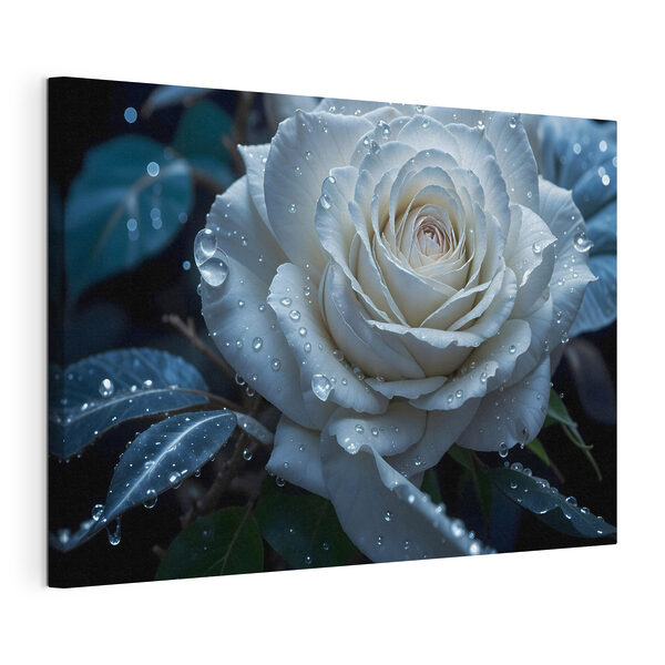 Cuadros Rosa blanca con gotas de agua (SKU: s41723) Cuadros Cuadros Rosa blanca con gotas de agua (SKU: s41723)