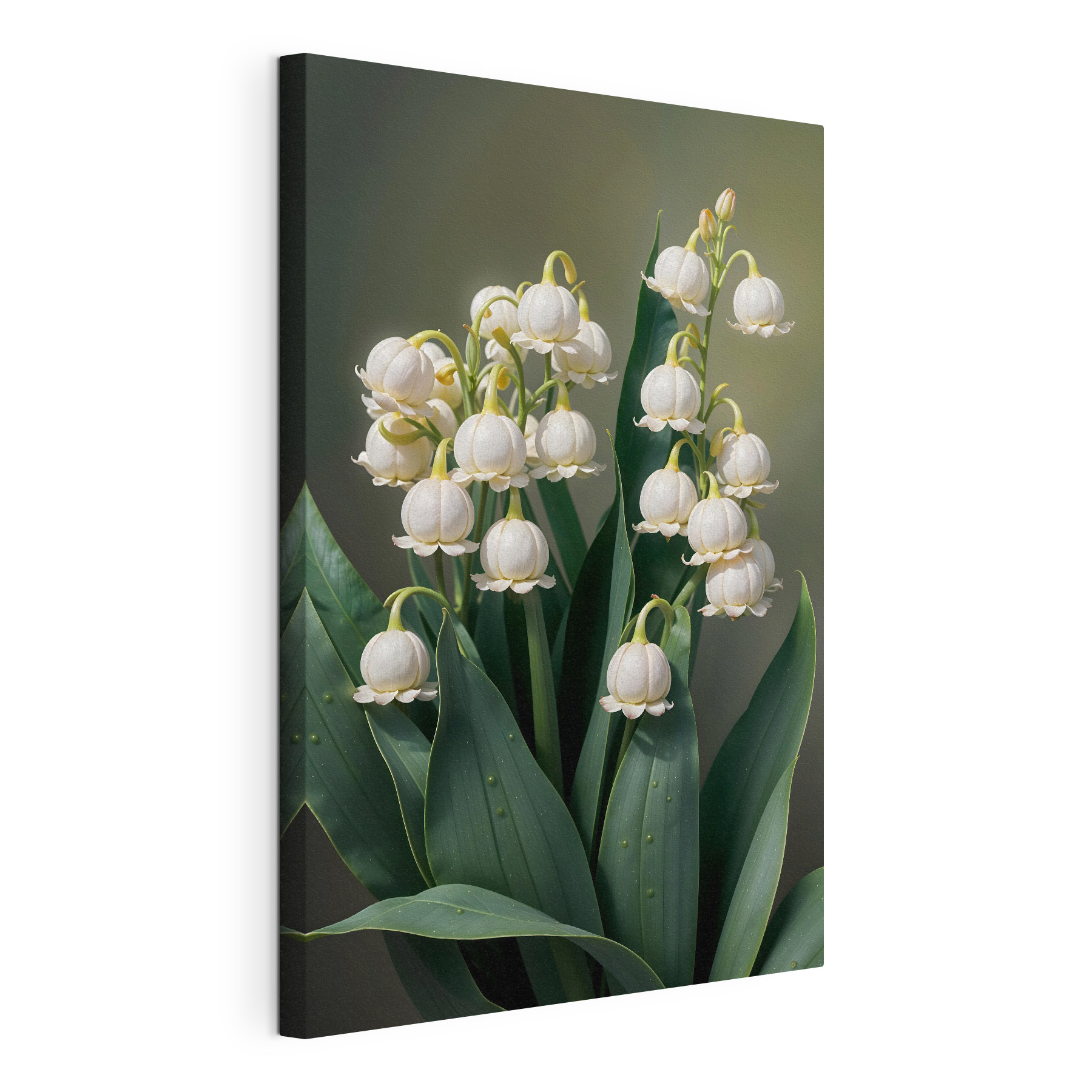 Beautiful white flowers in full bloom Beautiful white flowers in full bloom
