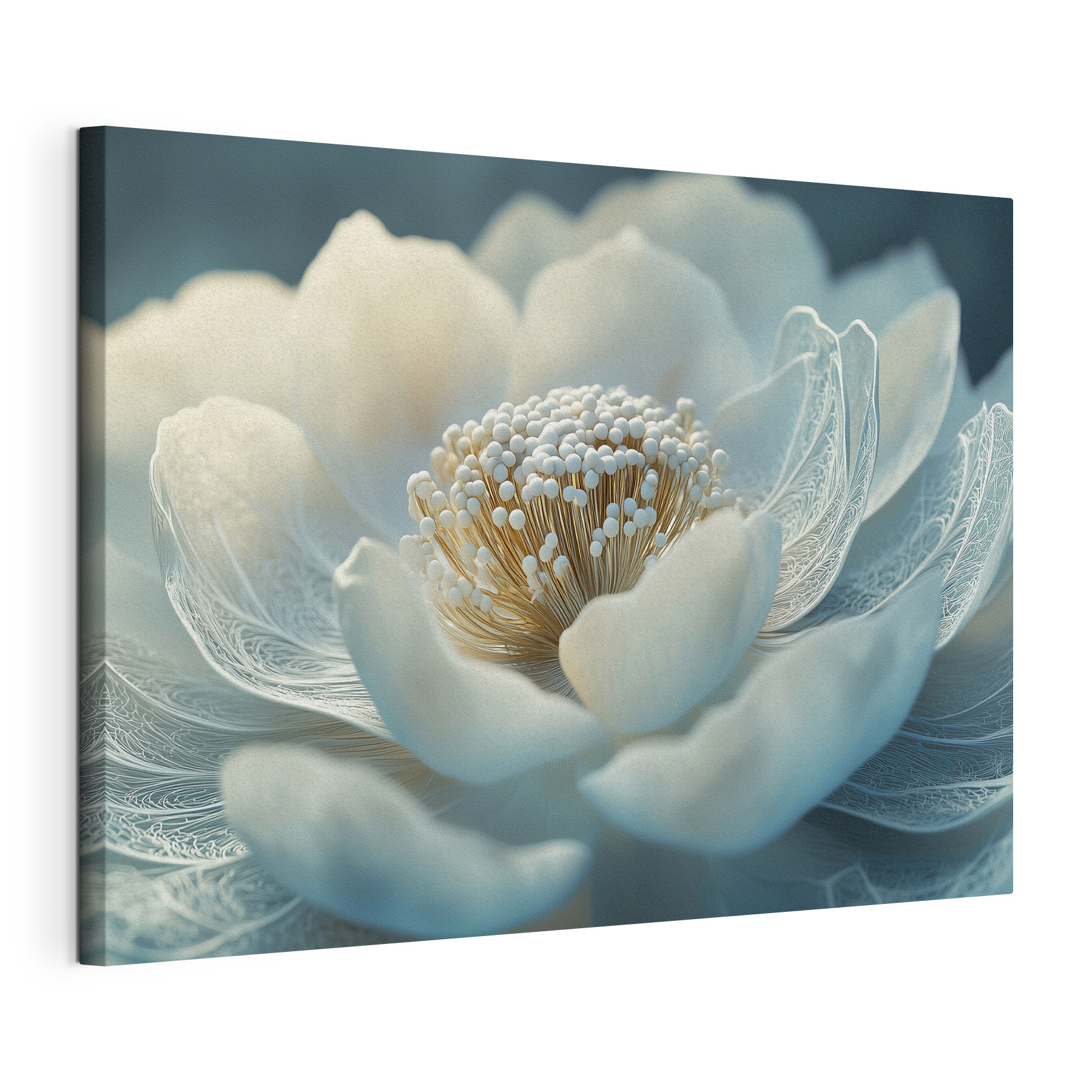 Delicate petals in soft hues Delicate petals in soft hues