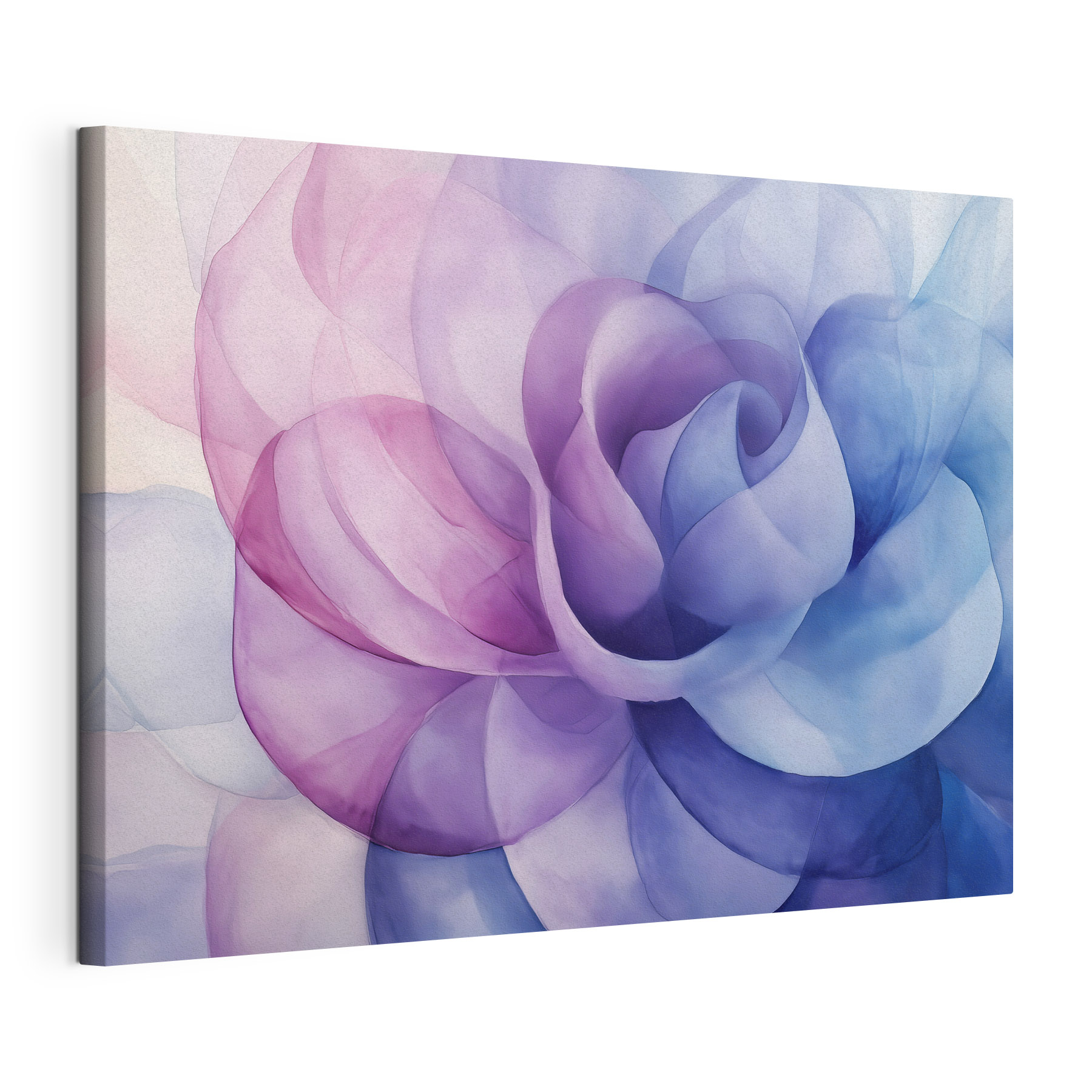 Delicate petals in soft hues