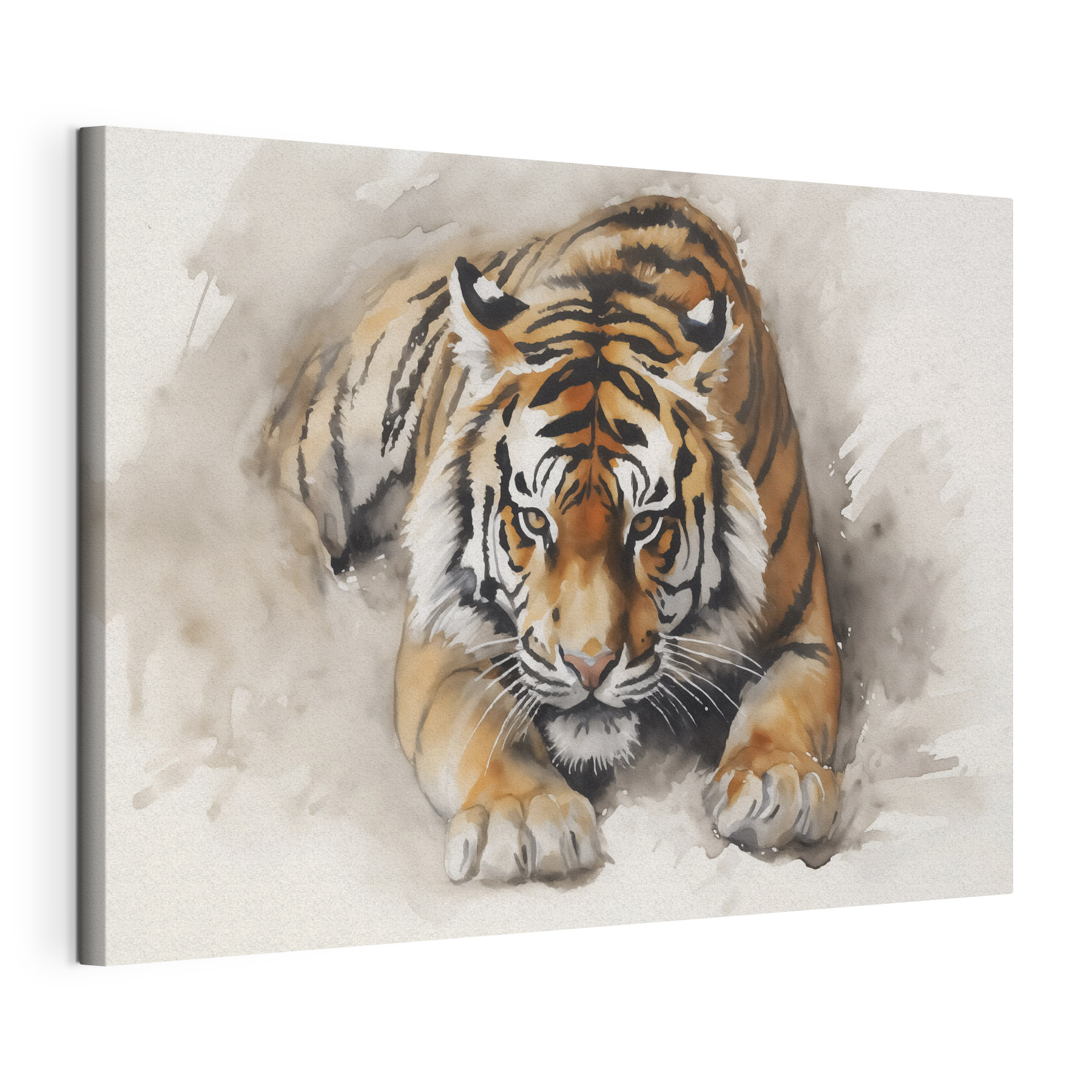 Watercolor of a tiger lying down Watercolor of a tiger lying down