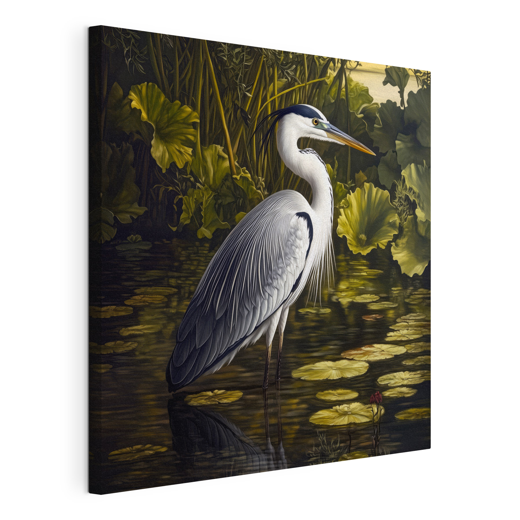 Bird standing in water Bird standing in water
