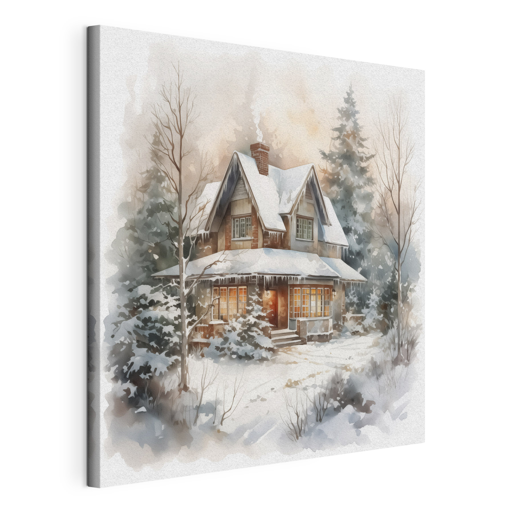 House in the snow