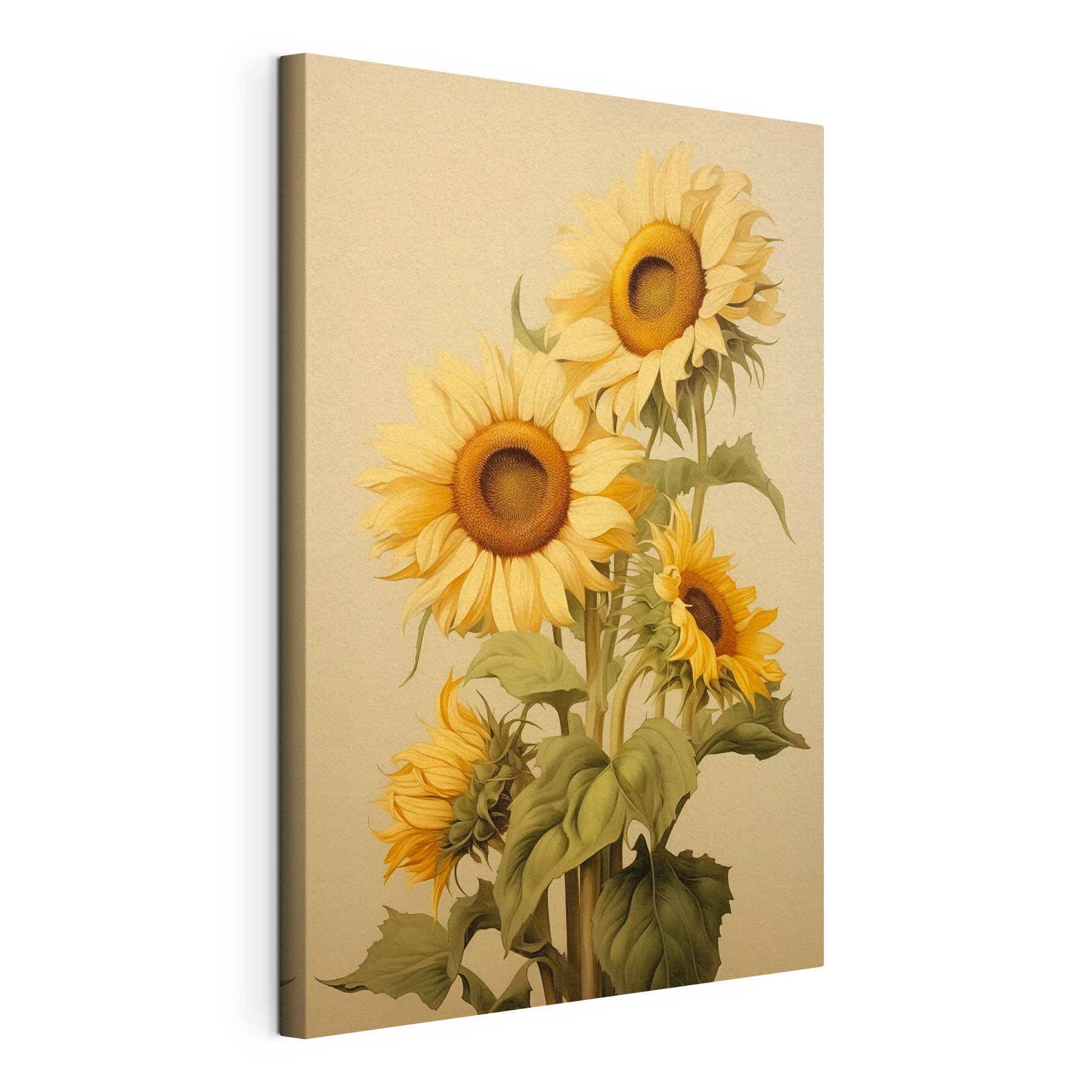 Painting of sunflowers on a white background Painting of sunflowers on a white background