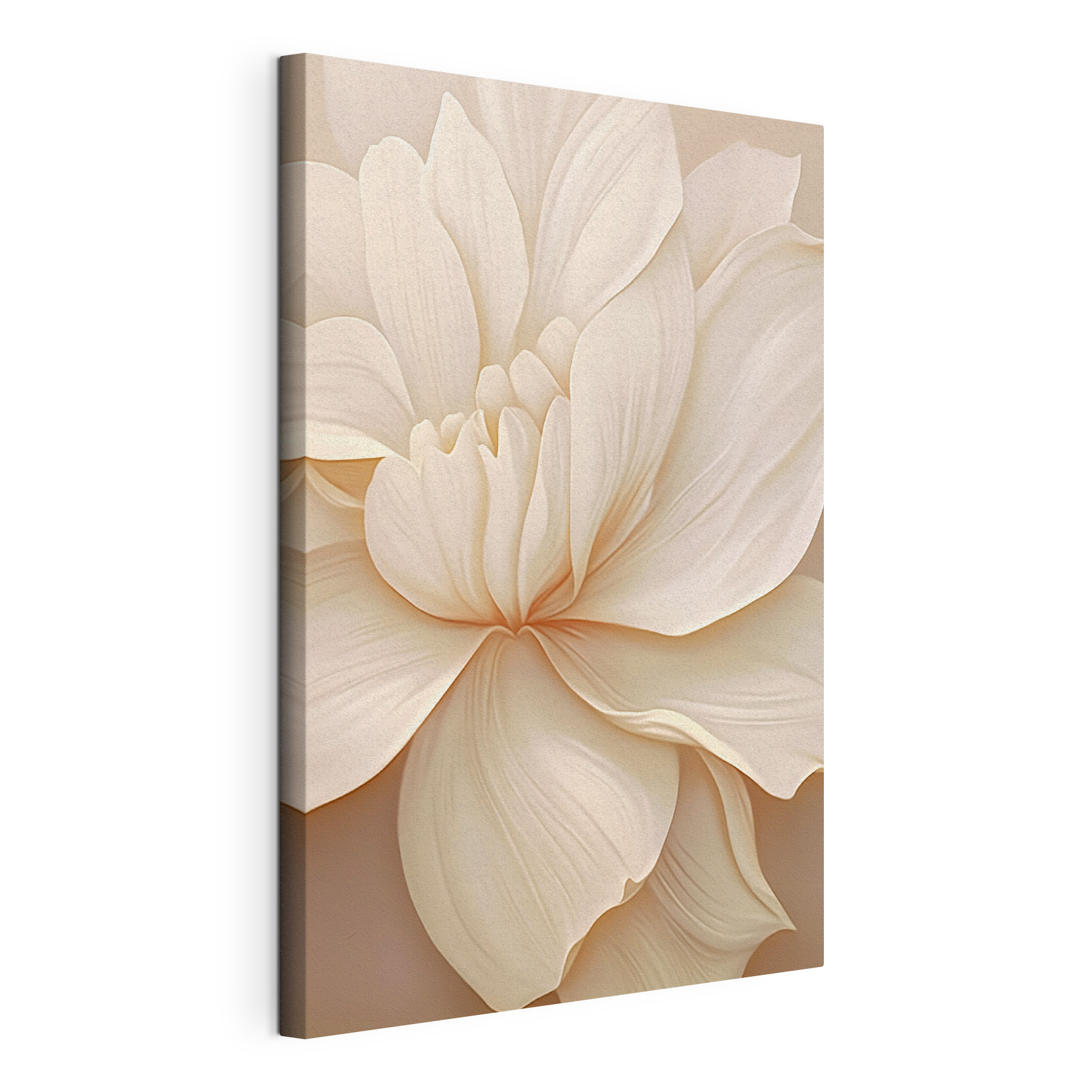 Delicate flower in soft tones Delicate flower in soft tones