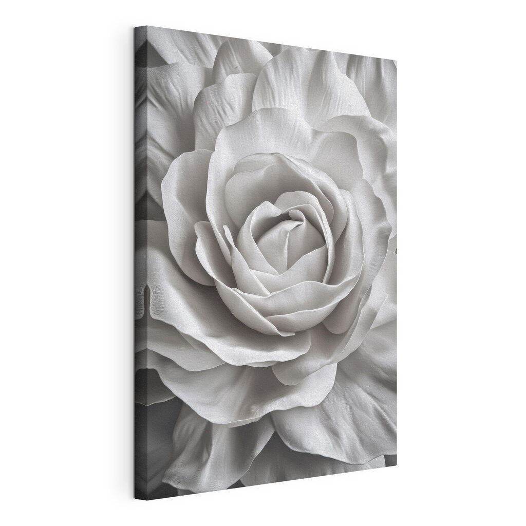 Delicate beauty in soft petals Delicate beauty in soft petals