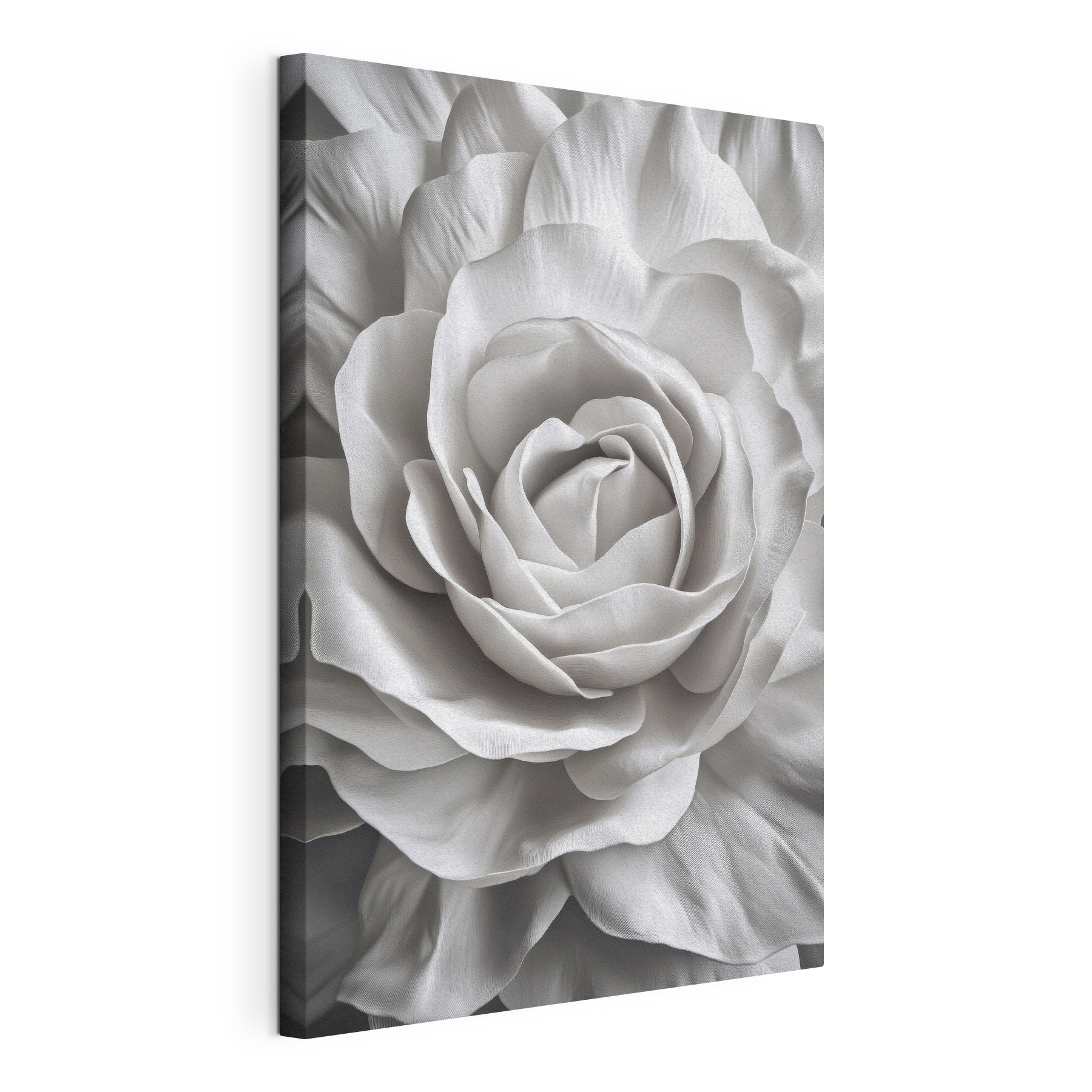 Delicate beauty in soft petals Delicate beauty in soft petals