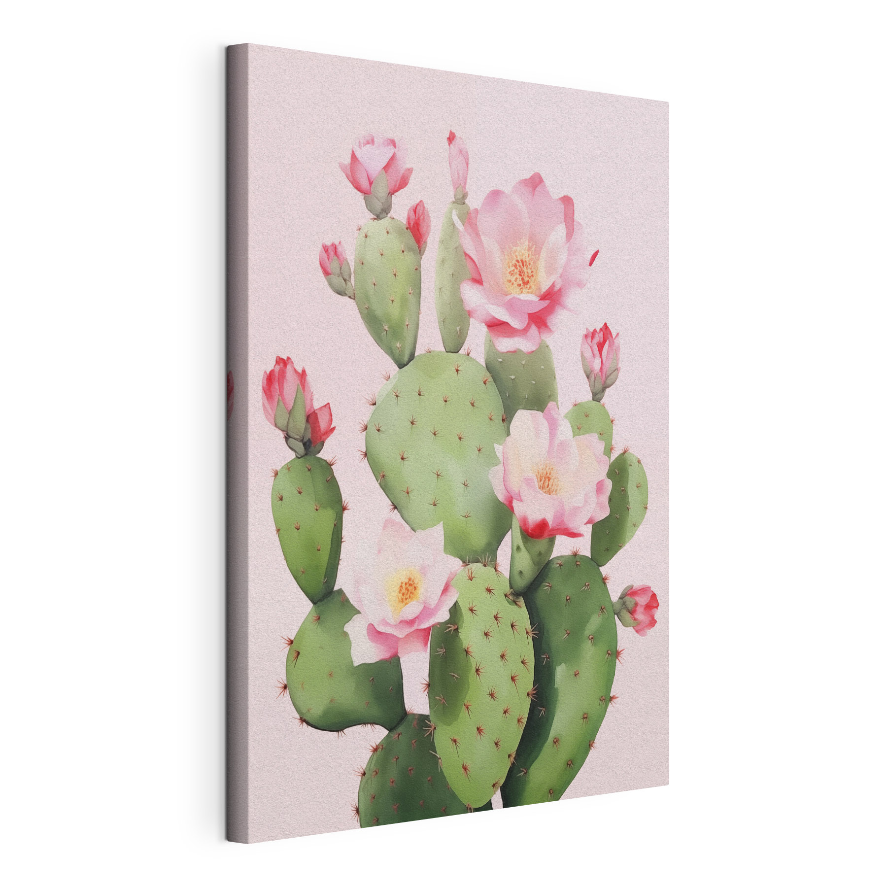 Cactus with pink flowers