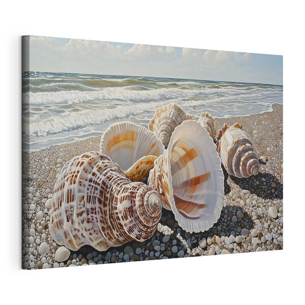 Cuadros Conchas marinas en la playa