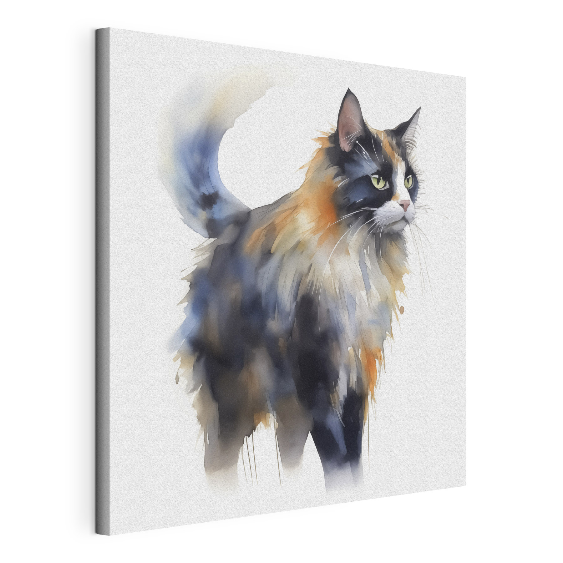 Cat with long whiskers