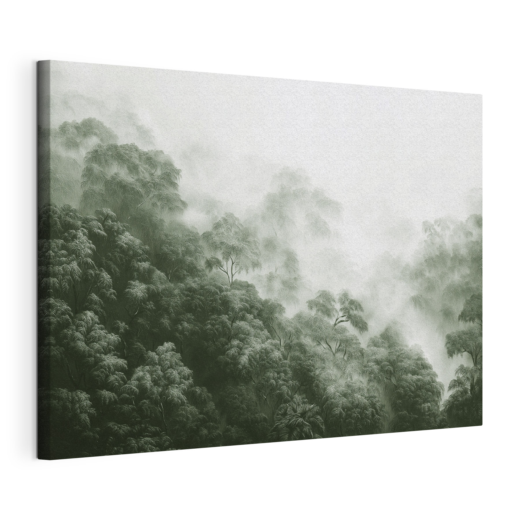 Foggy forest with trees Foggy forest with trees
