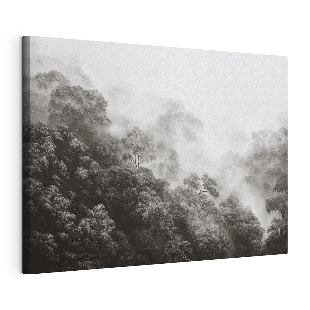 Foggy forest with trees Foggy forest with trees