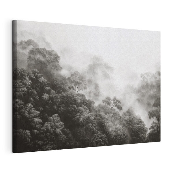 Foggy forest with trees Foggy forest with trees