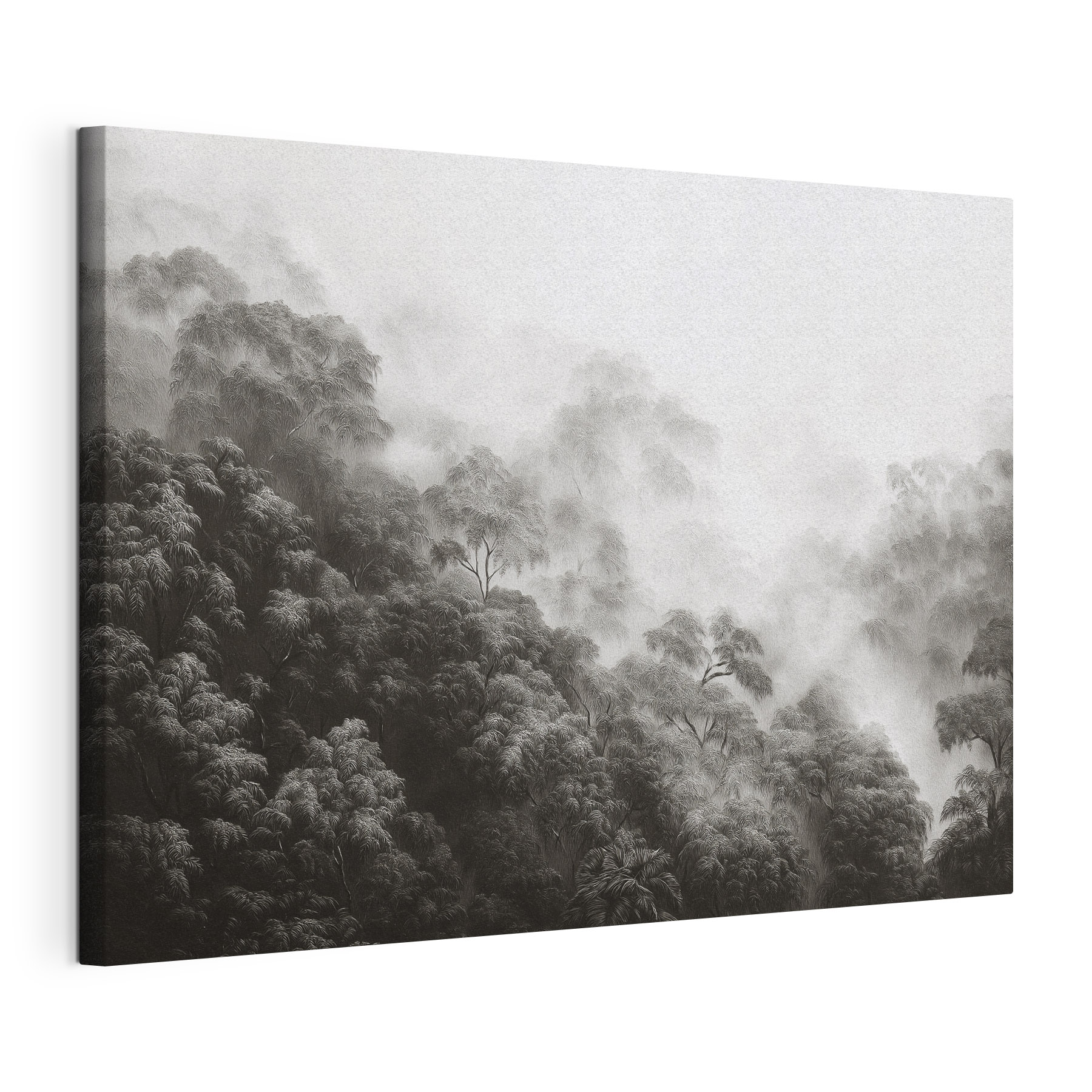 Foggy forest with trees Foggy forest with trees