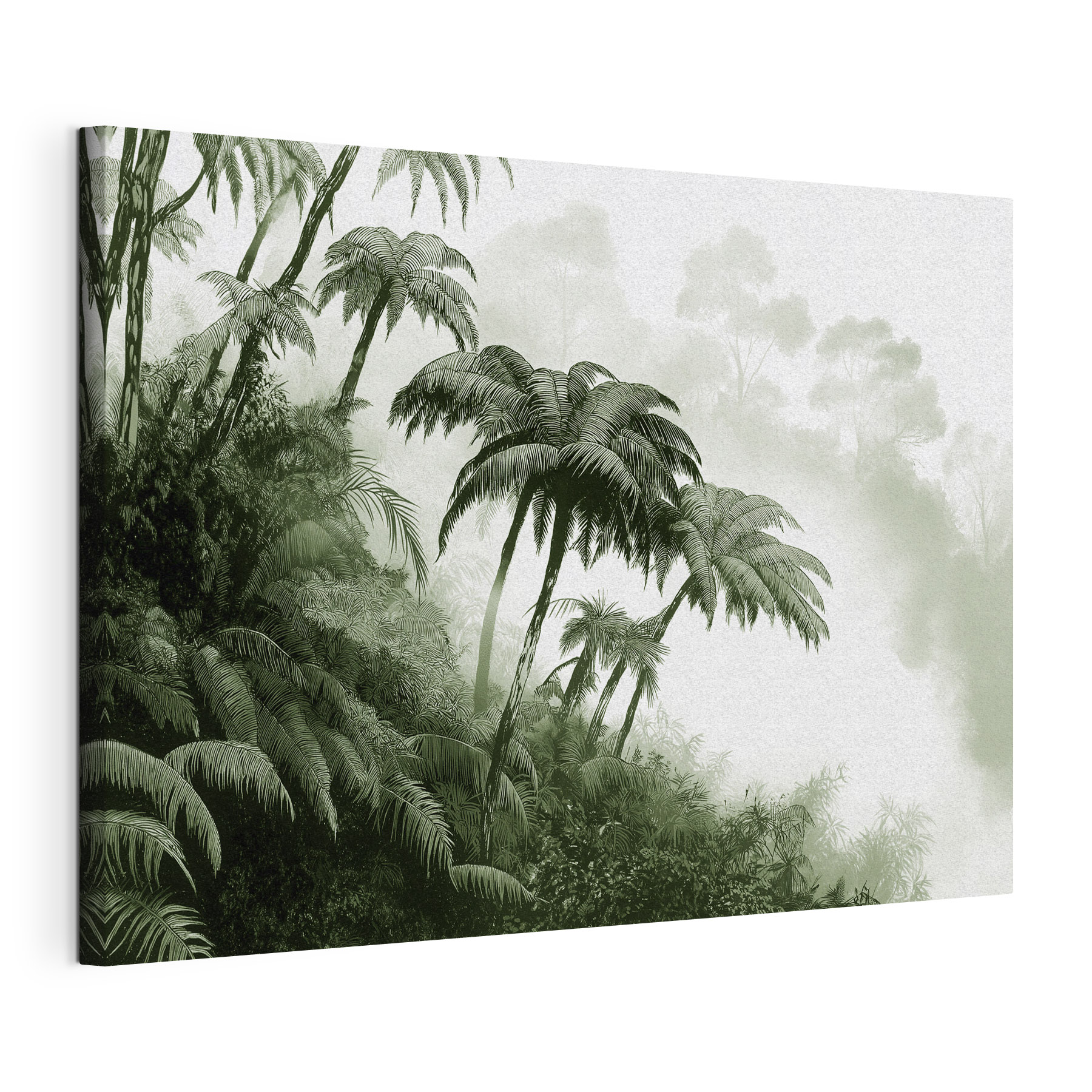 Group of palm trees in a forest
