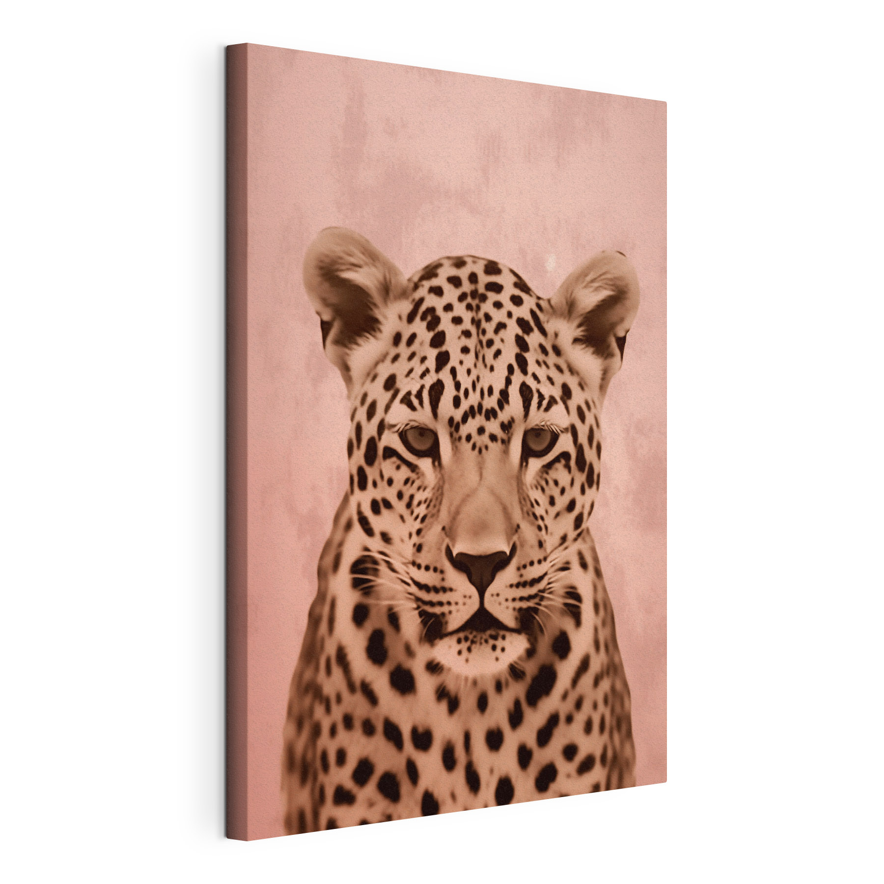Majestic leopard in soft tones