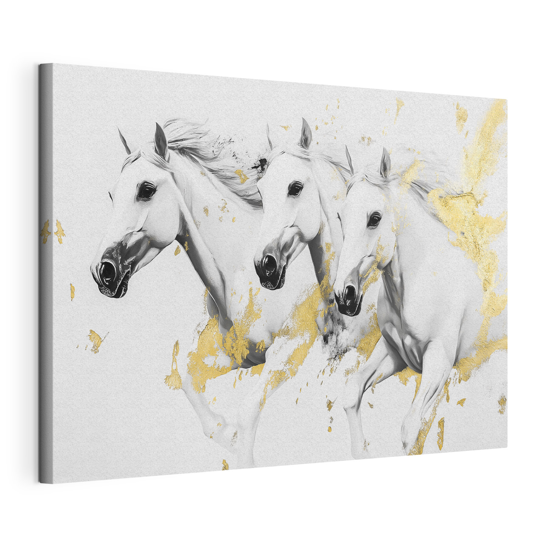 Group of white horses running Group of white horses running