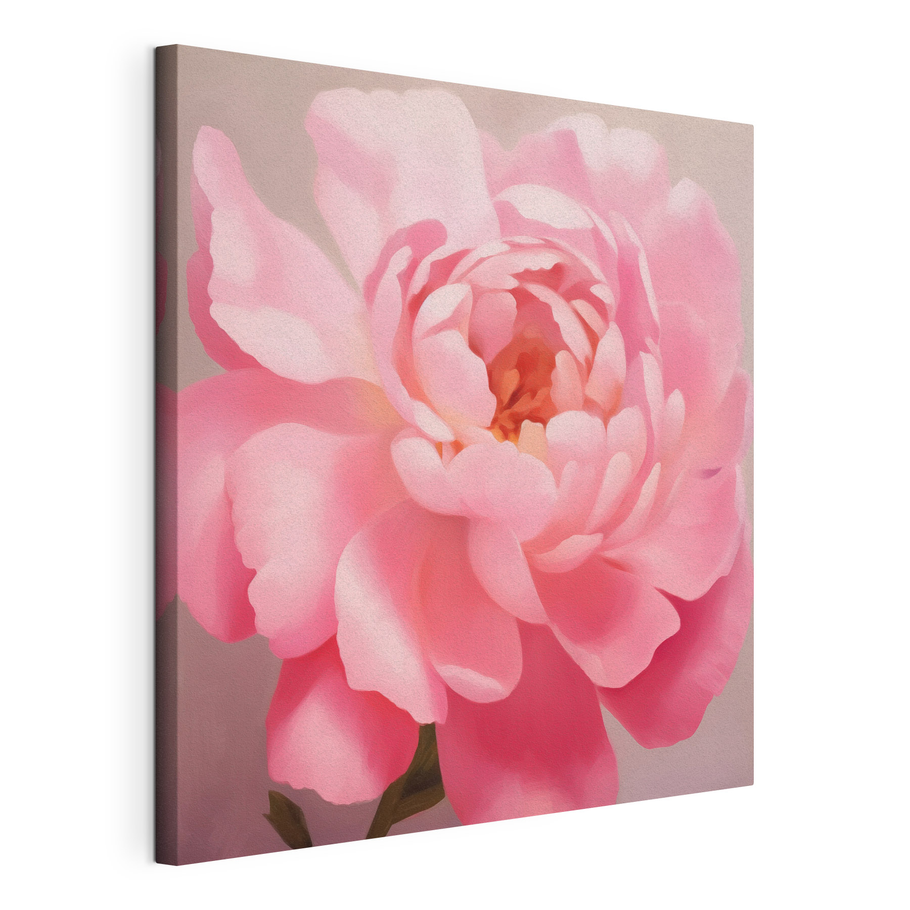Delicate petals in soft pink hues Delicate petals in soft pink hues