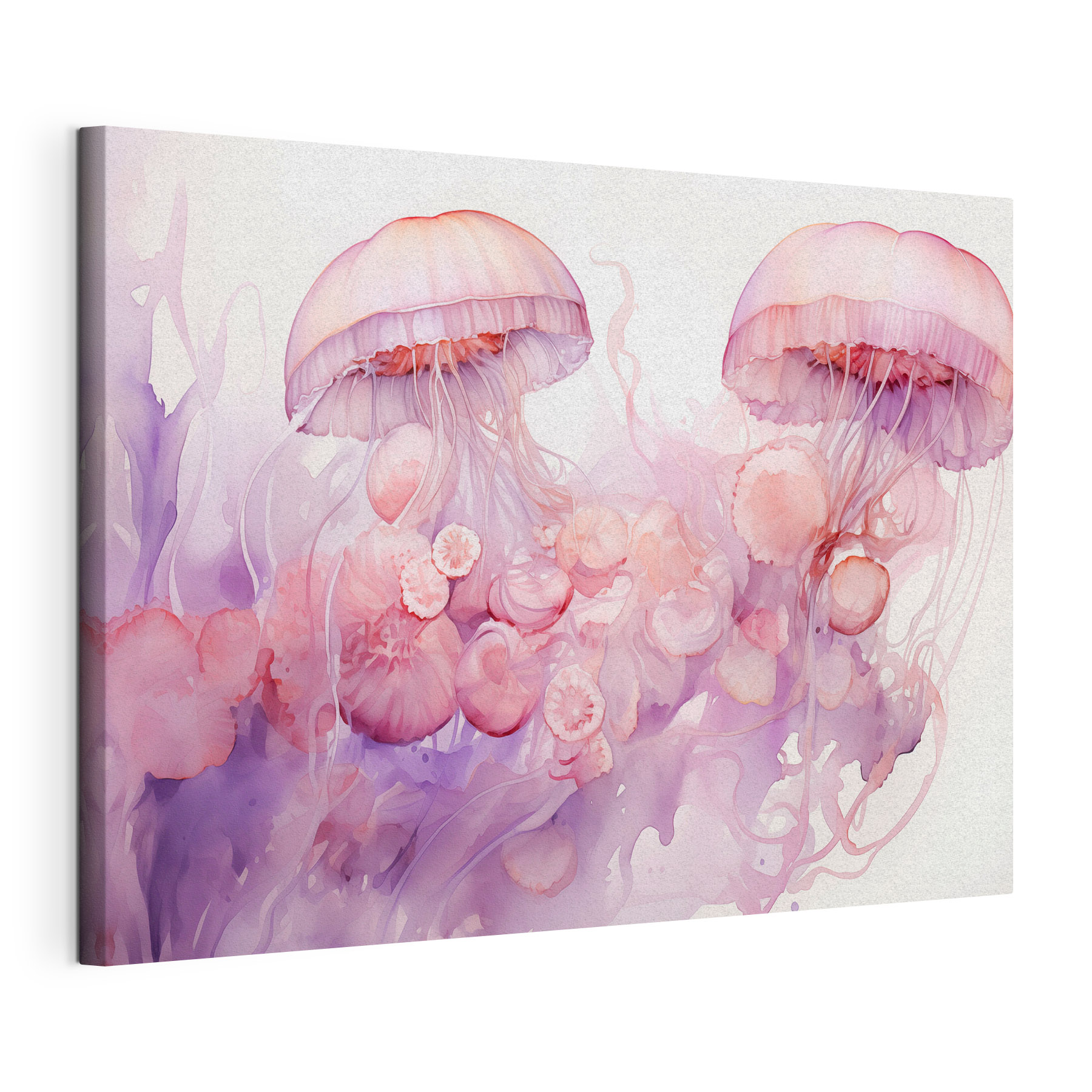 Group of jellyfishes in water Group of jellyfishes in water
