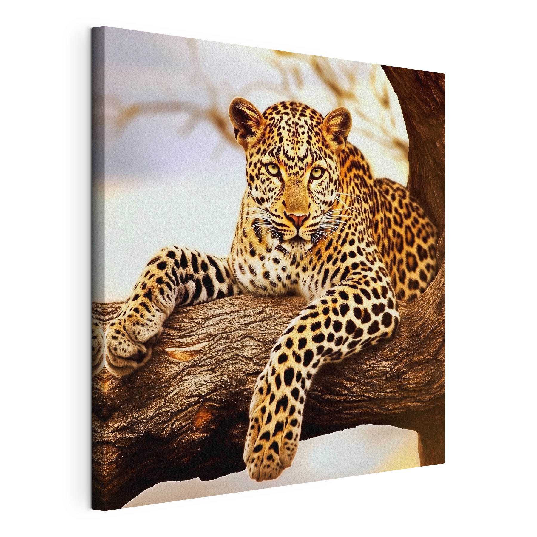 Leopard lying on a tree branch