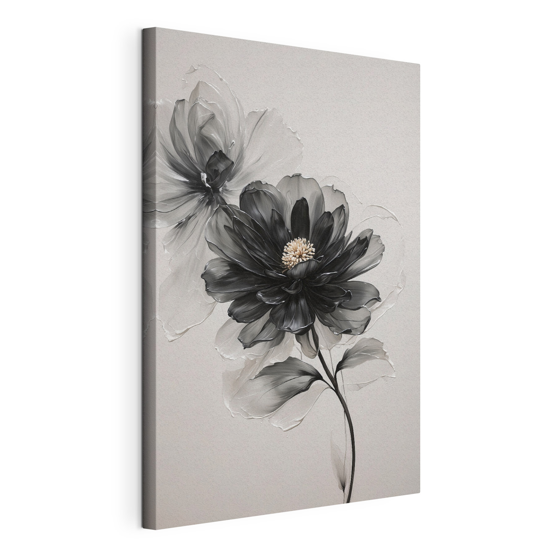 Black and white flower Black and white flower