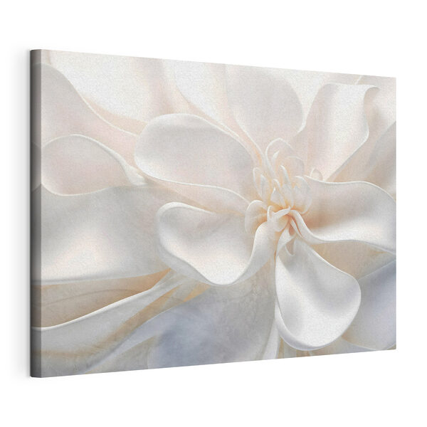 Cuadros Delicadas capas de belleza floral (SKU: s43161) Cuadros Cuadros Delicadas capas de belleza floral (SKU: s43161)