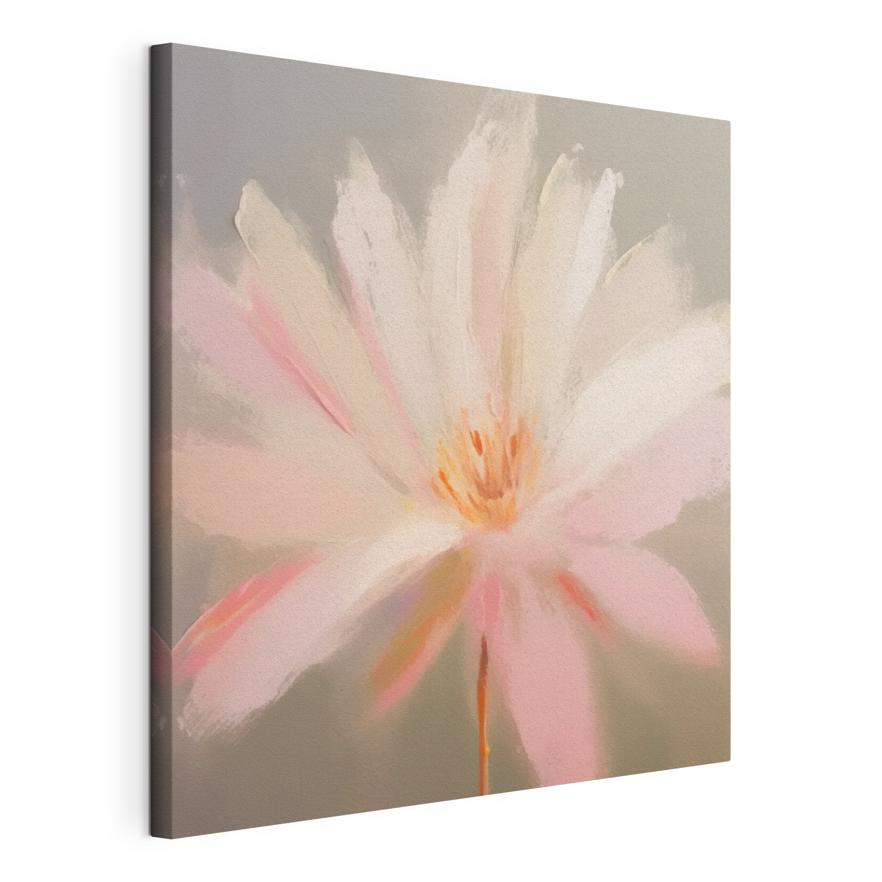 Delicate petals in soft hues