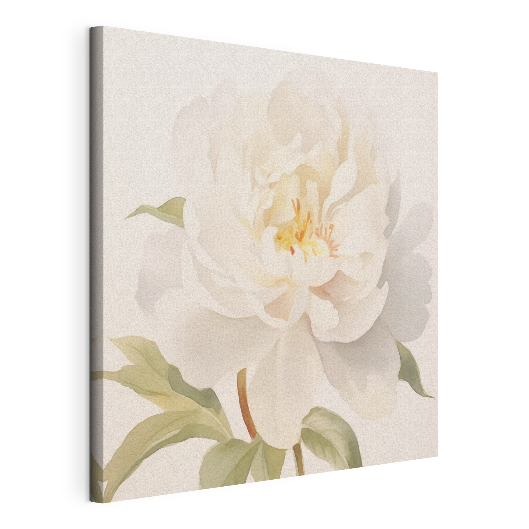 White flower with green leaves