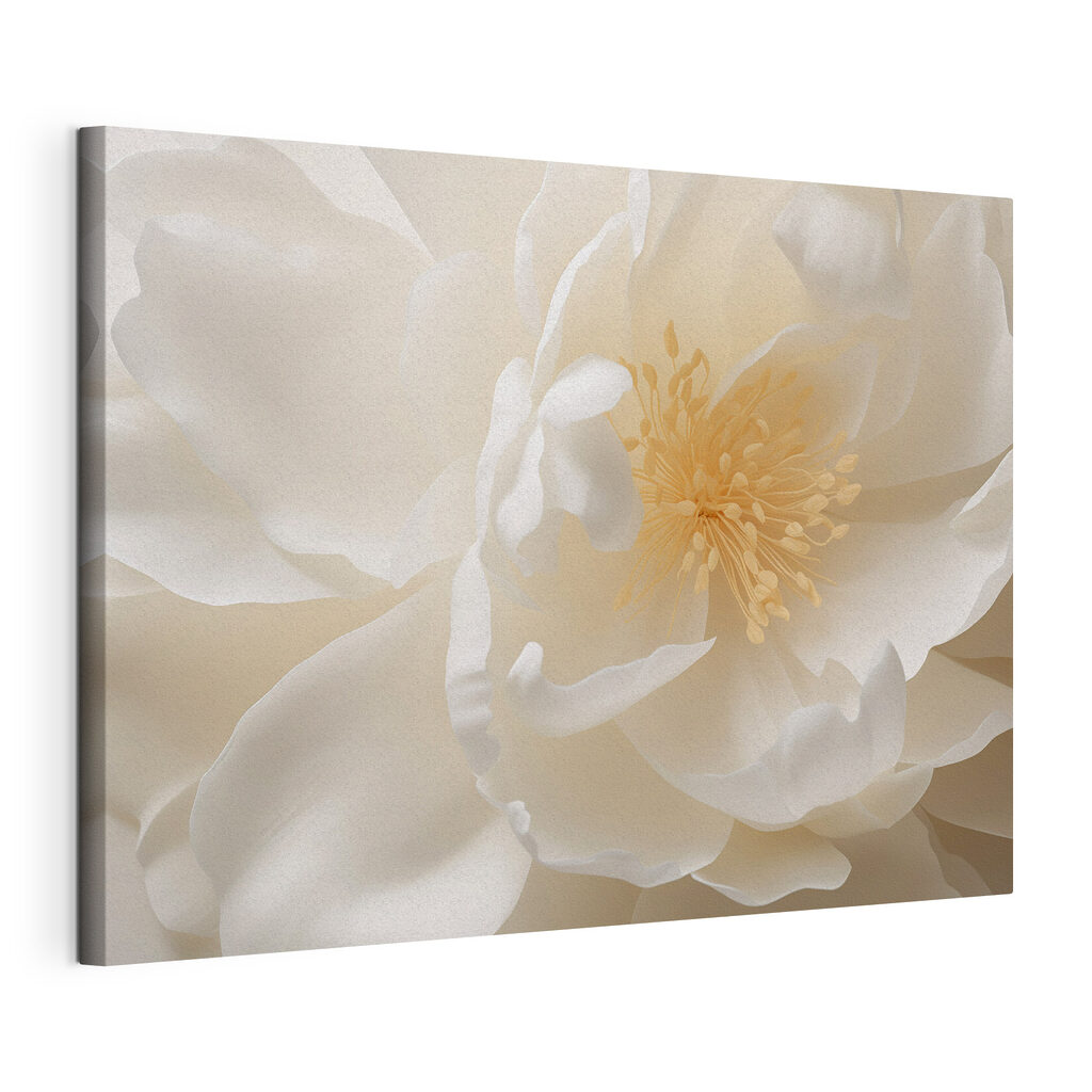 Delicate petals in soft hues Delicate petals in soft hues