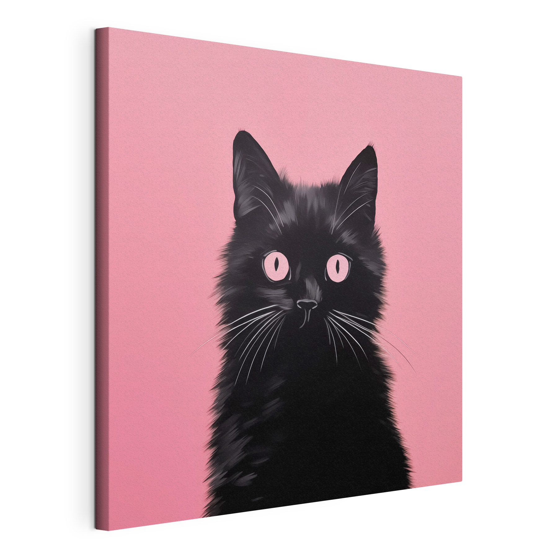 Black cat with pink eyes Black cat with pink eyes