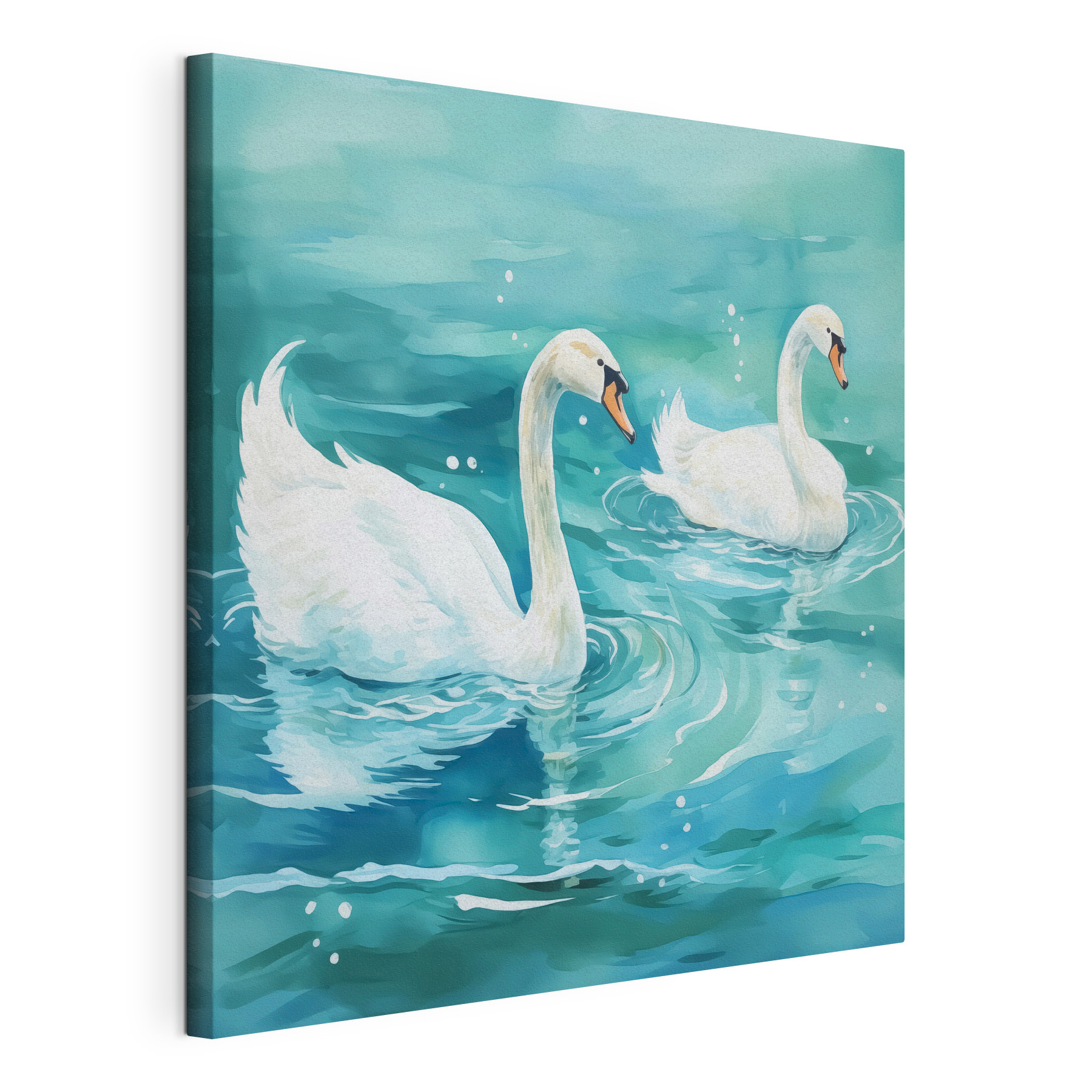 Two swans swimming in water