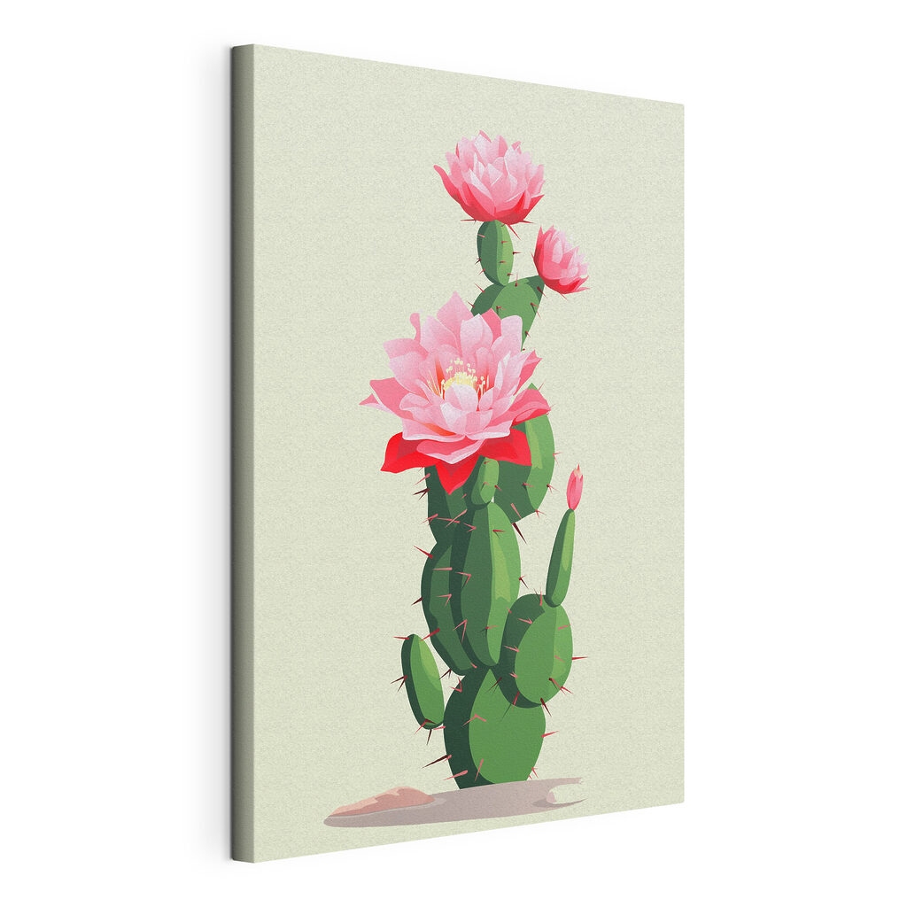 Cactus with pink flowers Cactus with pink flowers