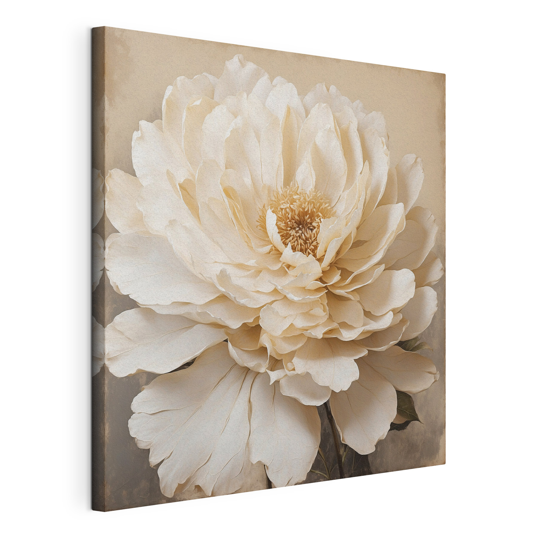 Beautiful bloom in soft hues Beautiful bloom in soft hues