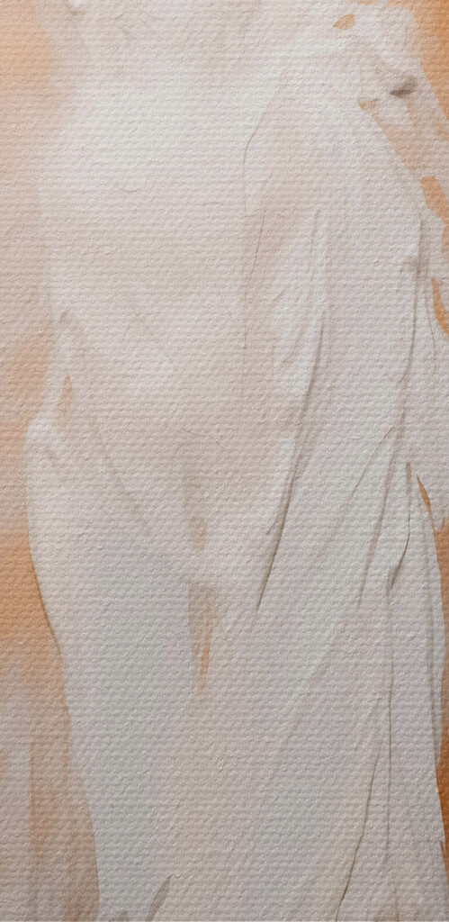 White and brown angel wings