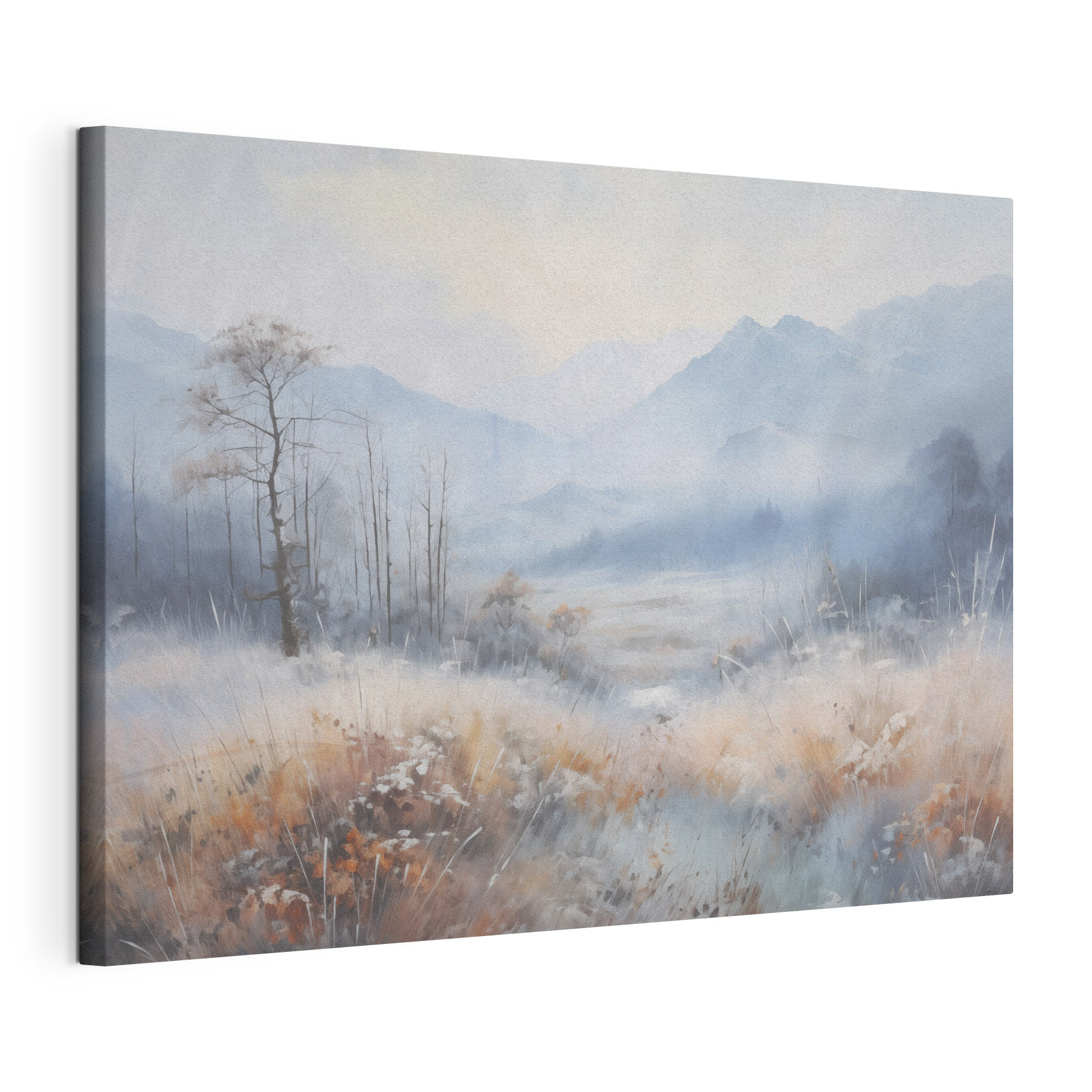 Landscape with a snowy field and mountains