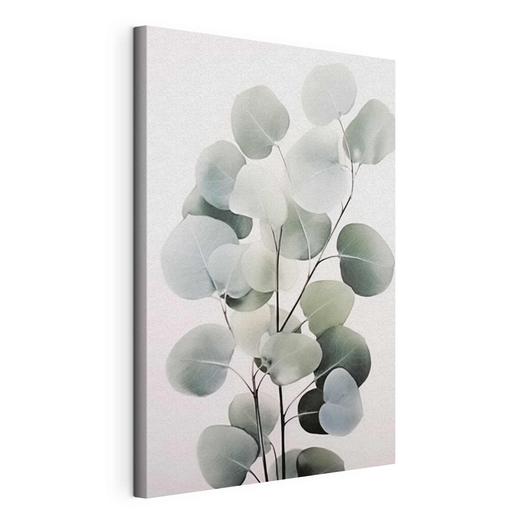Delicate leaves on a minimal backdrop Delicate leaves on a minimal backdrop