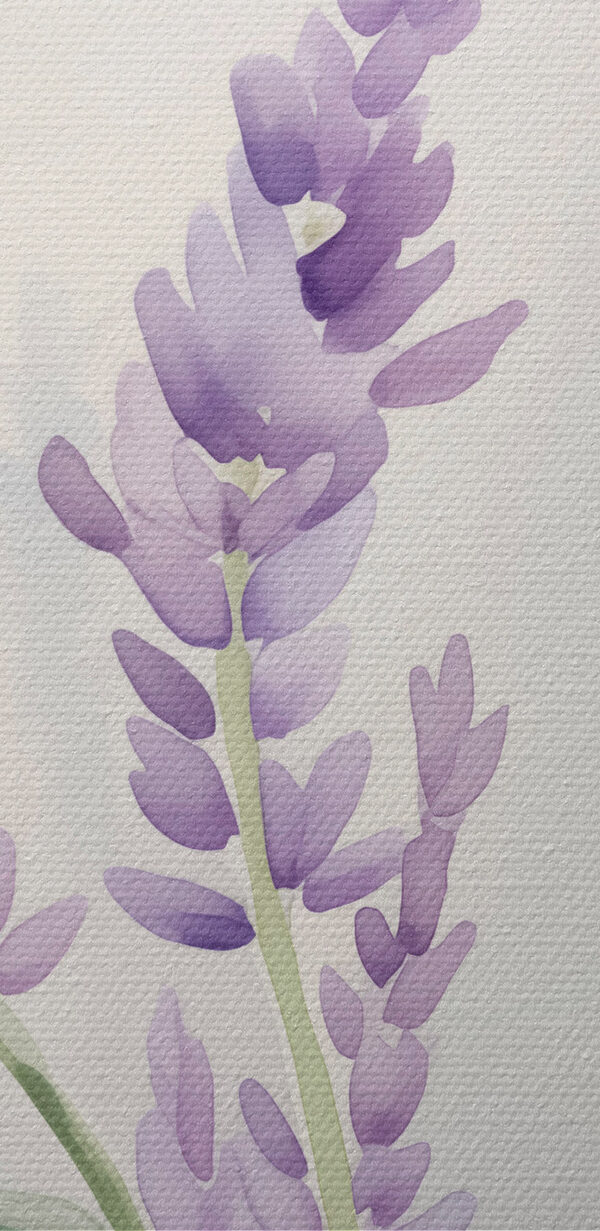 Delicate lavender blooms sway gently