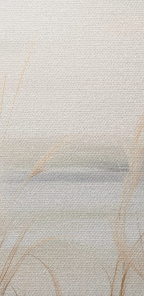 - Serene landscape with soft grasses