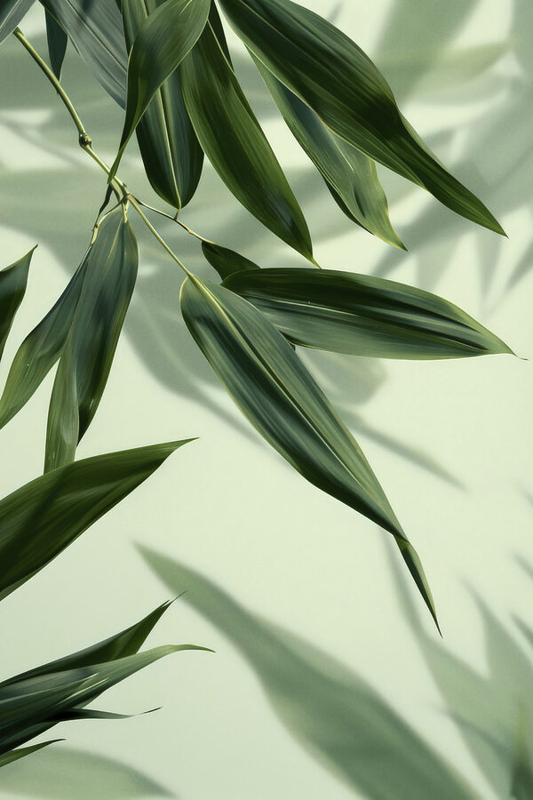 Lush leaves against soft backdrop