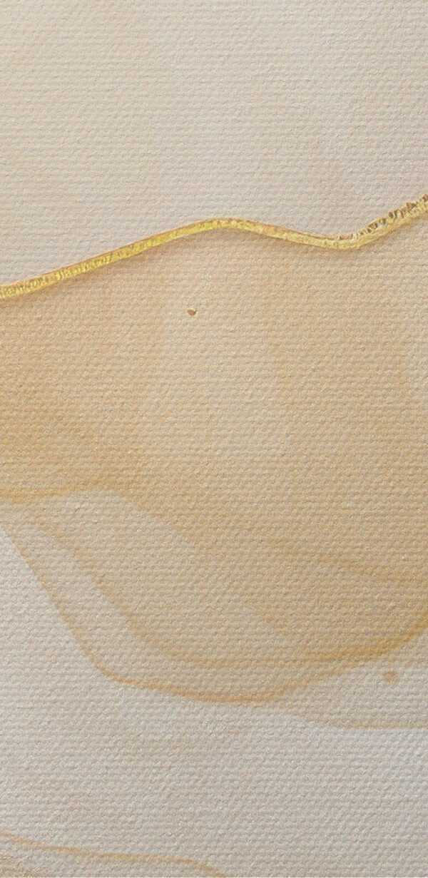Soft waves of creamy colors blend