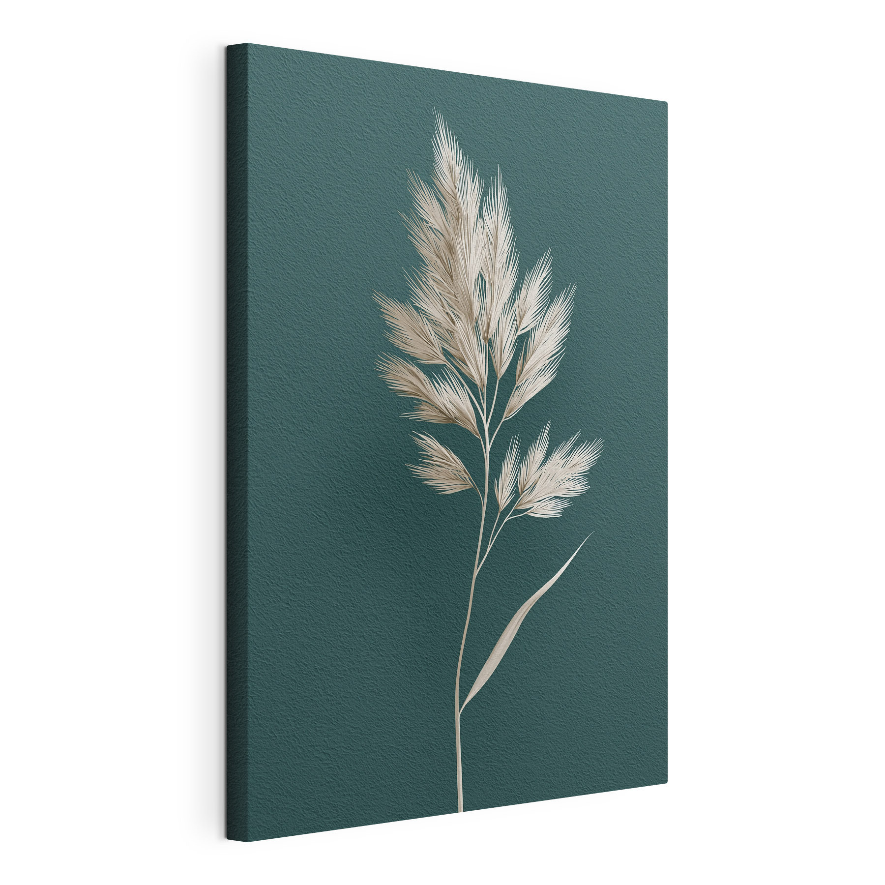 White plant with long leaves White plant with long leaves