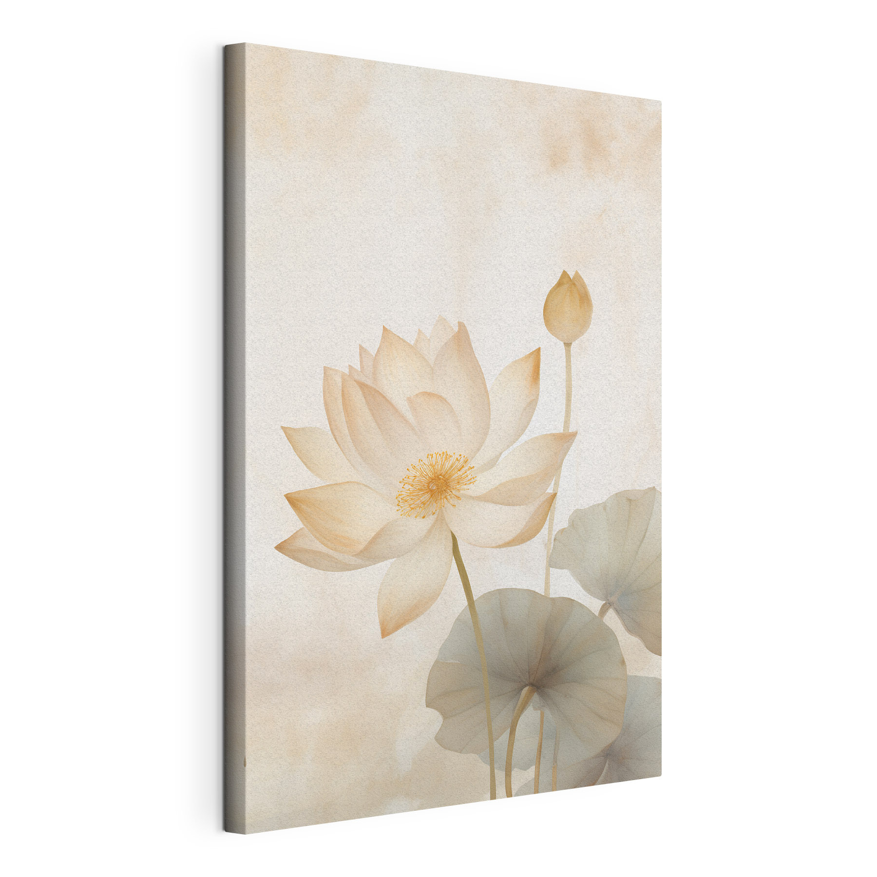 Delicate petals in soft colors