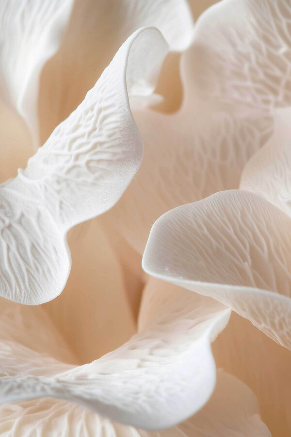 Delicate petals in soft harmony