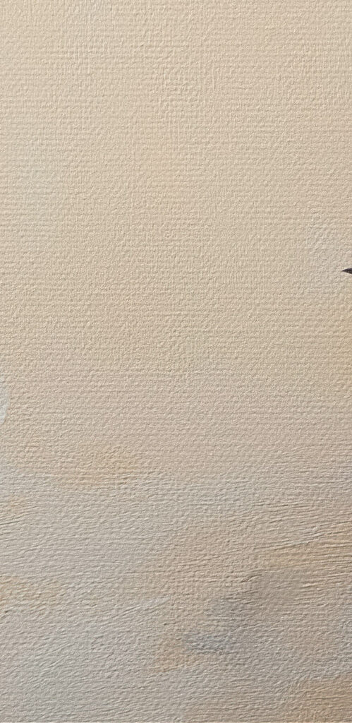 Bird standing on a snowy surface