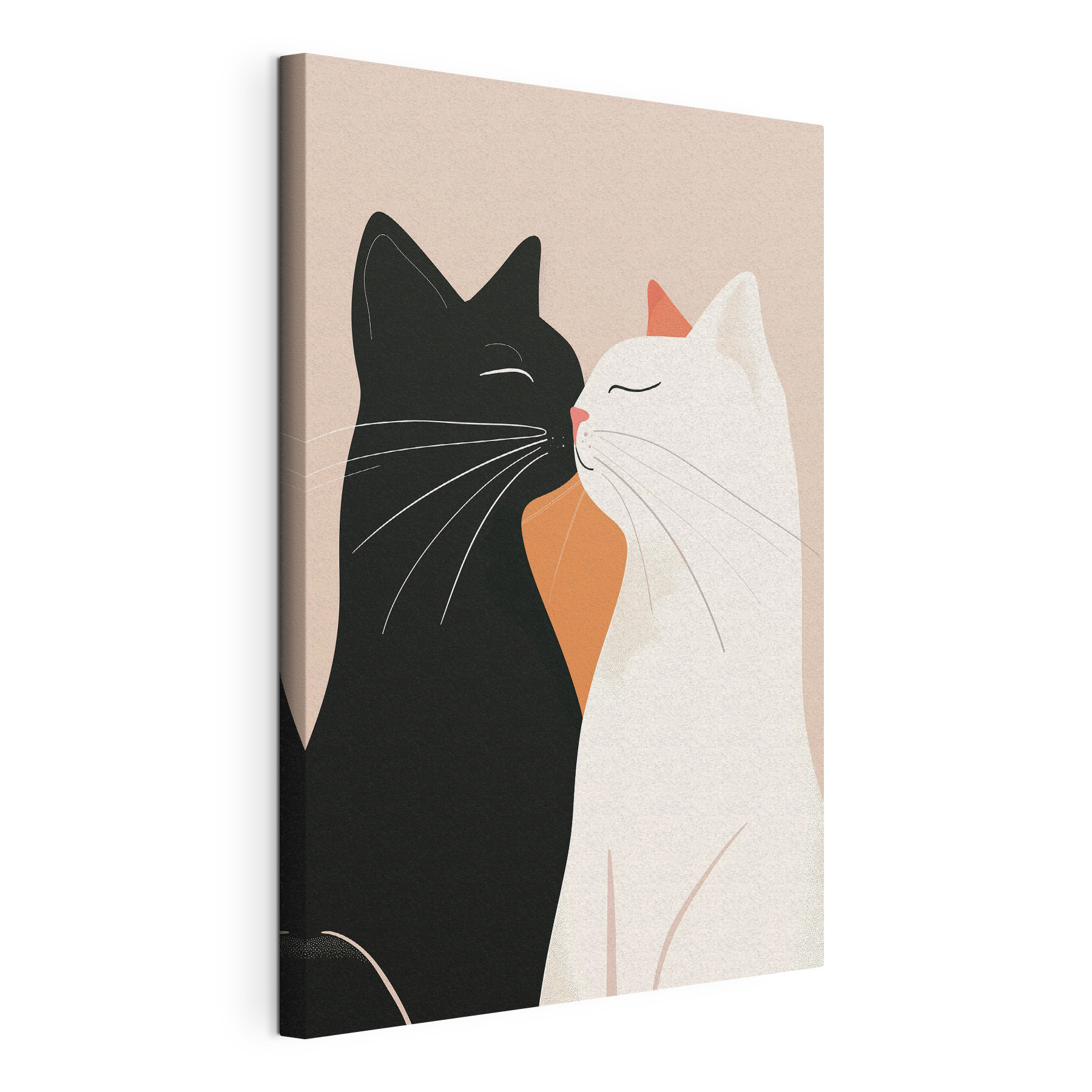 Black and white cats kissing